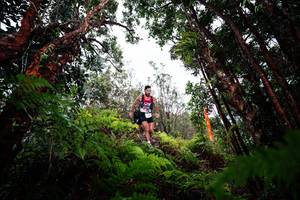 BIB: 
                            <button type="button" onclick="openModal(26201404)" class="btn btn-primary btn-sm float-right btn-popup" data-toggle="modal" data-target=".modal-high-quality">
                        <i class="fas fa-shopping-cart"></i> Add to Cart
                    </button>
                                            <button type="button" onclick="isThisMe(26201404, true)" class="btn btn-success btn-sm float-right btn-popup btn-isme hidden" data-toggle="tooltip" data-placement="bottom" title="นี่คือรูปของคุณใช่ไหม คลิกที่นี่เพื่อเอาเข้าอัลบั้ม">
                        <i class="fas fa-plus"></i> Add to album
                    </button>
                    <button type="button" onclick="isThisMe(26201404, false)" class="btn btn-warning btn-sm float-right btn-popup btn-isnotme hidden">
                        <i class="fas fa-ban"></i> Remove from album
                    </button>